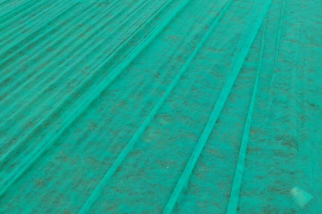 PP non-woven fabric for slope greening