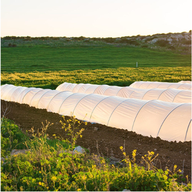 PP non-woven fabric for greenhouse